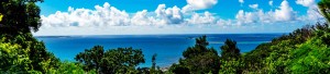 bg_img004